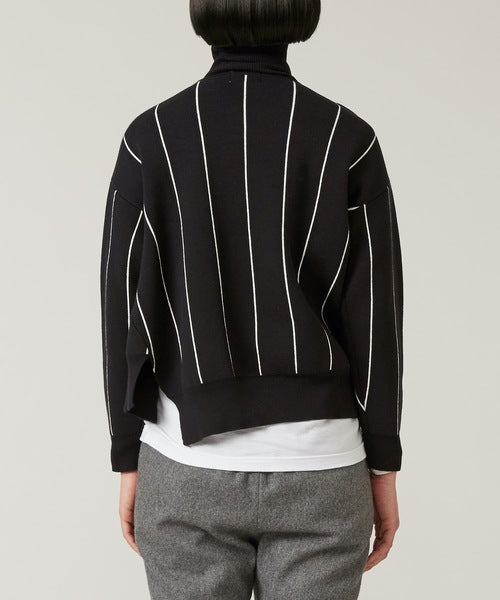 STRIPE TURTLE NECK KNIT TOP（MMK-057）| KAAM